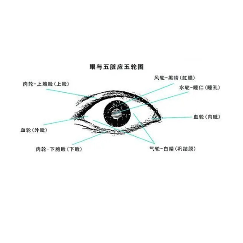 中醫(yī)五輪學(xué)說(shuō)
